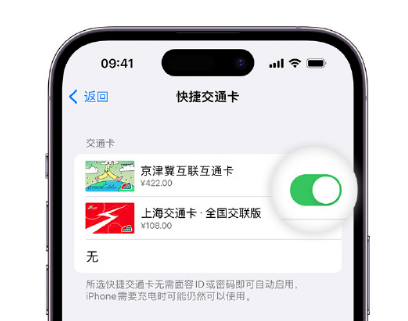 扬中apple维修点分享iPhone上更换Apple Pay快捷交通卡手绘卡面 