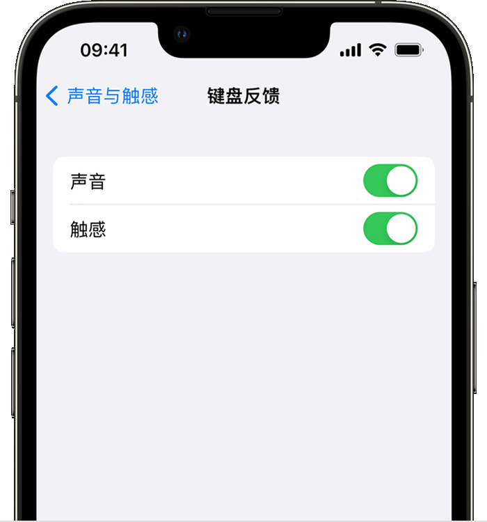 扬中苹果14维修店分享如何在 iPhone 14 机型中使用触感键盘 