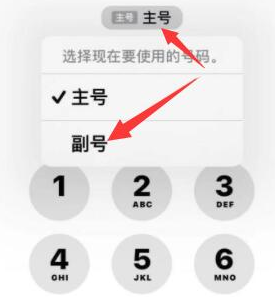 扬中苹果14维修店分享iPhone 14 Pro Max使用副卡打电话的方法 