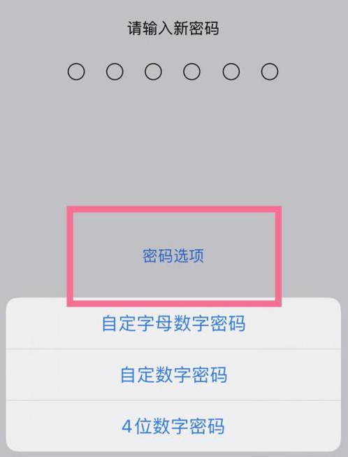 扬中苹果14维修分享iPhone 14plus设置密码的方法 