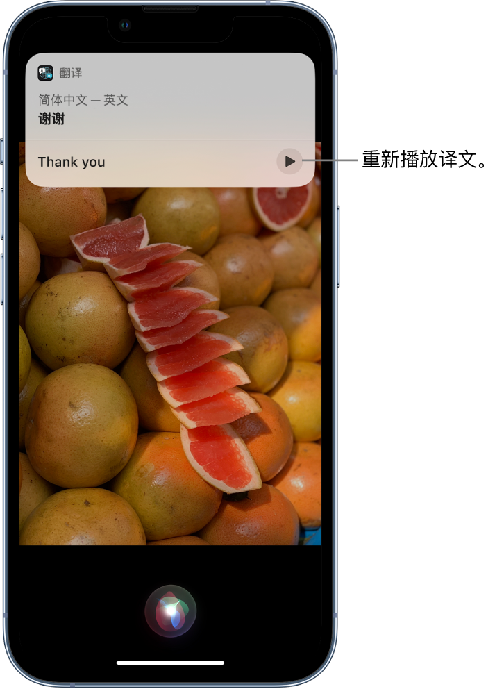 扬中苹果14维修分享 iPhone 14 机型中使用 Siri：了解 Siri 能帮你做什么 